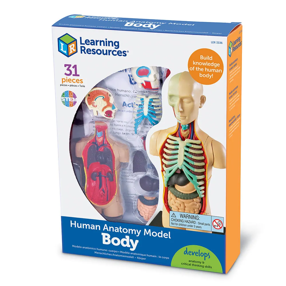3336-human-body-anatomy-box-nbr_lft_sh-2 3336-human-body-anatomy-box-nbr_lft_sh-2